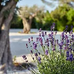 Agapanto Masseria Oda ve Kahvaltı *
