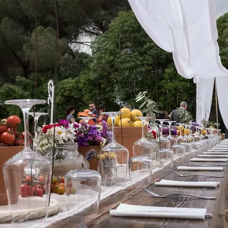 Bed & Breakfast Agapanto Masseria *