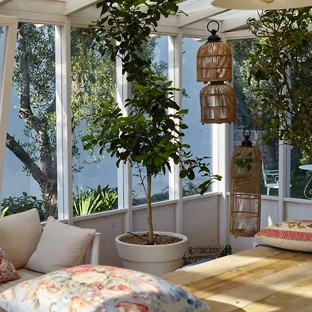 Agapanto Masseria ベッド・アンド・ブレックファスト コンヴェルサーノ